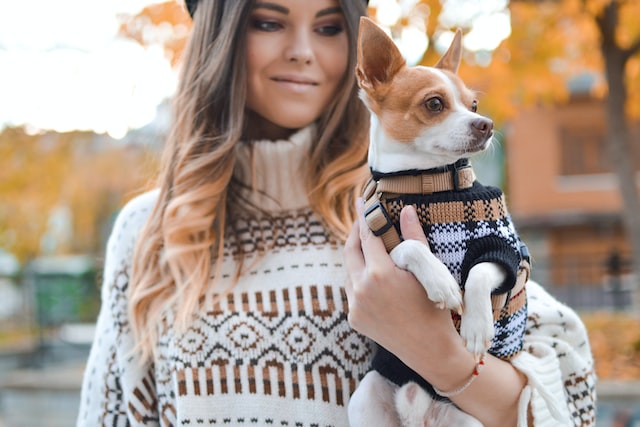 a girl in a sweater holds a small dog